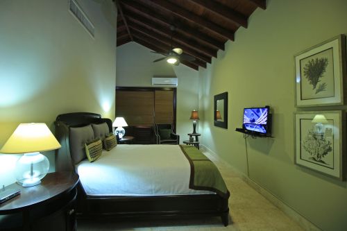 #15 Luxury Oceanfront Mansion in the Dominican Republic