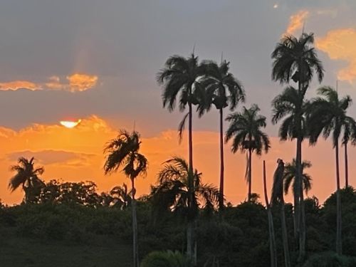 #18 Spectacular Hilltop Ocean View Mansion 